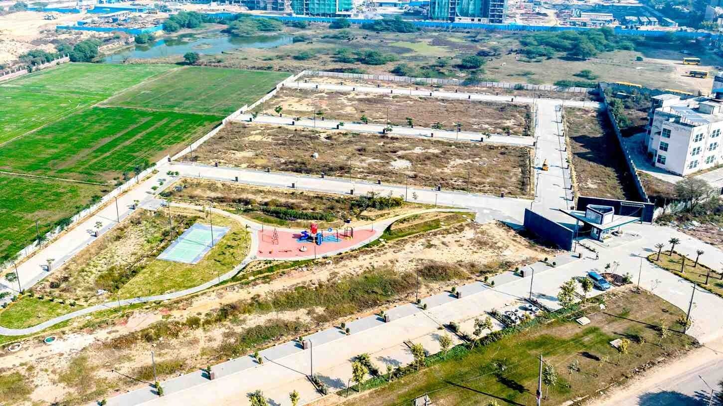 Adani Oyster Greens Plot Images 3