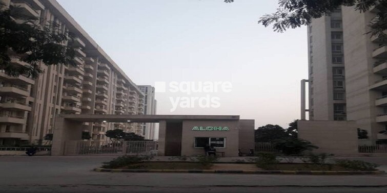 AEZ Aloha Cover Image