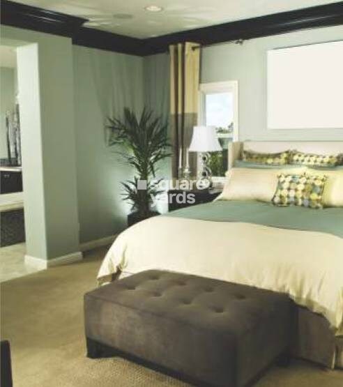 Agrante Beethovens 8