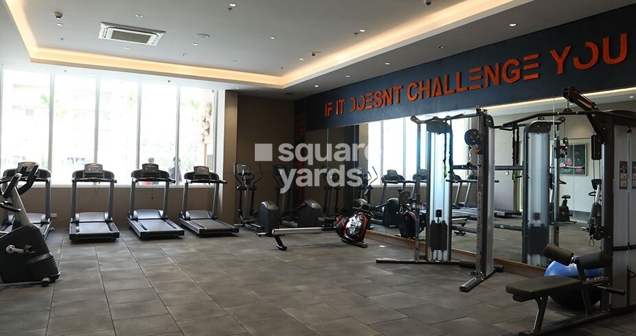 AIPL The Peaceful Homes Gymnasium Image