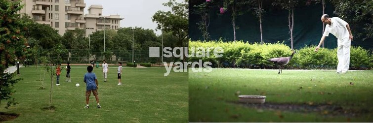 Alphacorp Gurgaon One 84 Amenities-Features 5