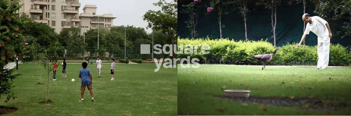 Alphacorp Gurgaon One 84 Amenities-Features 5