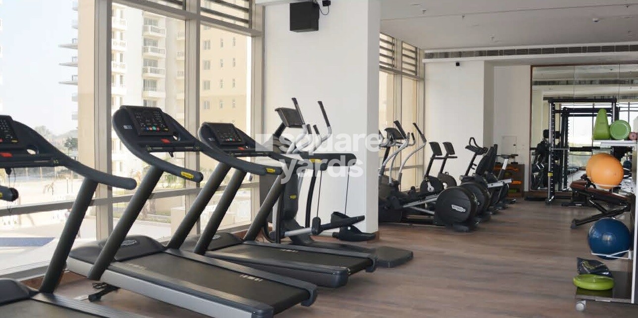 Alphacorp Gurgaon One 84