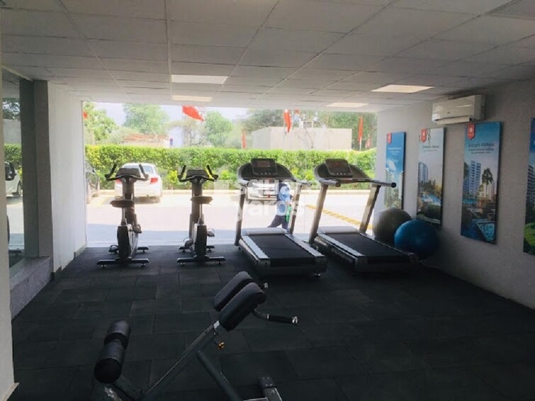 Anant Raj Maceo Gymnasium Image