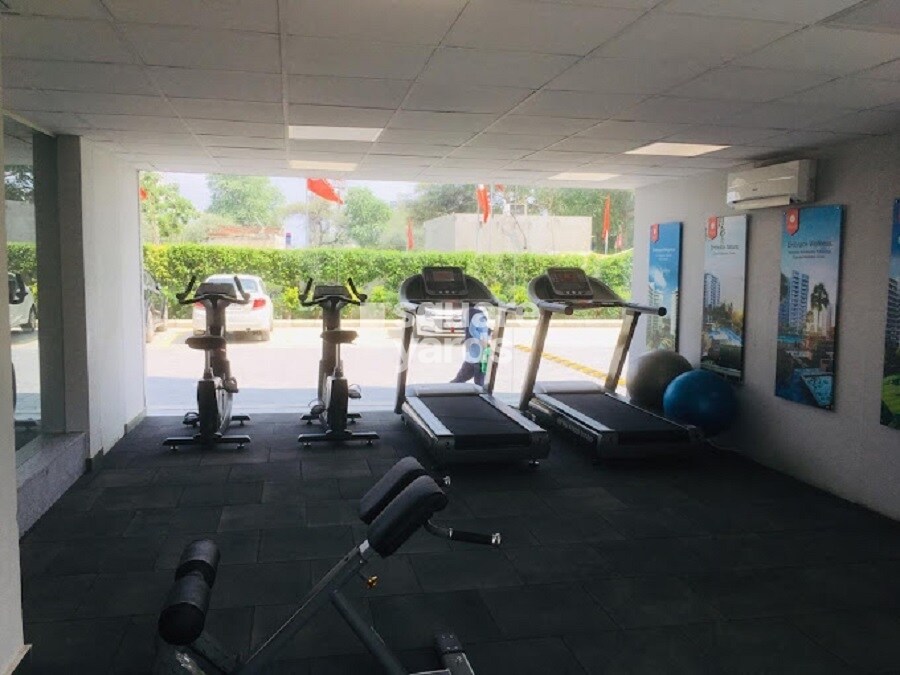 Anant Raj Maceo Gymnasium Image