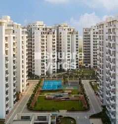 Anant Raj Maceo Anant Raj Maceo