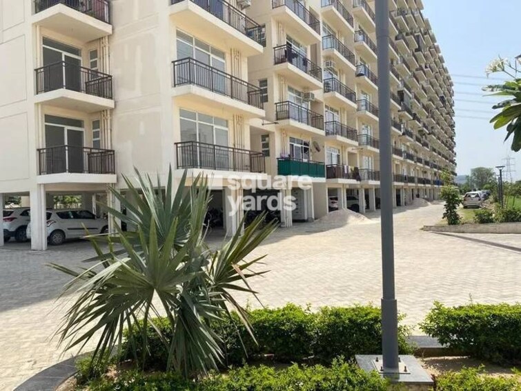 AVL 36 Gurgaon Amenities-Features 3