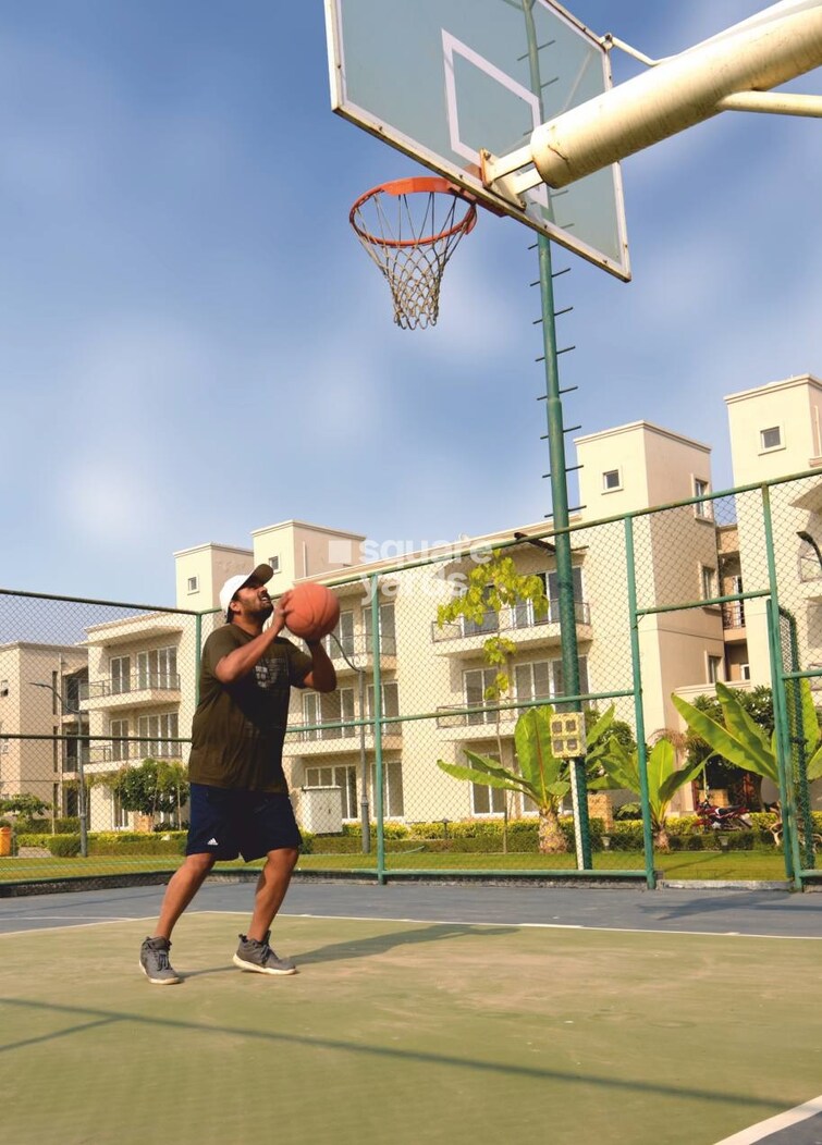 BPTP Amstoria Sports facilities Image 2