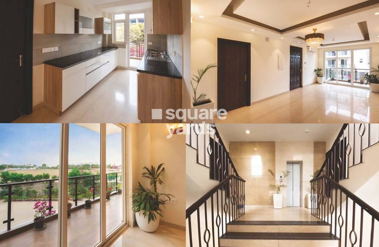 BPTP The Pedestal Apartment Interiors