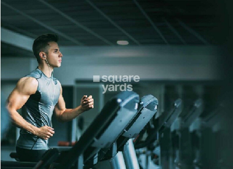 Brahma Miracle Mile Gymnasium Image