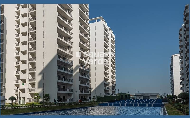 Central Park Flower Valley Aqua Front Towers Tower View 2