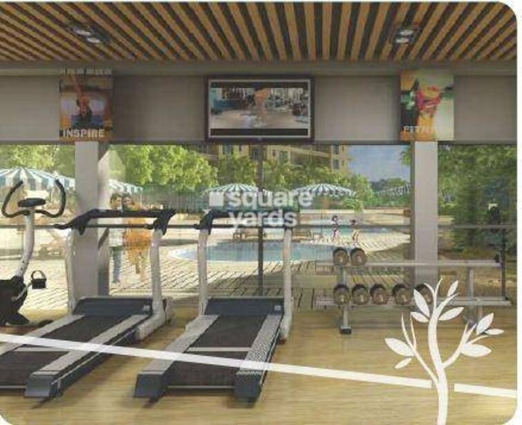 Central Park II-Bellevue Gymnasium Image