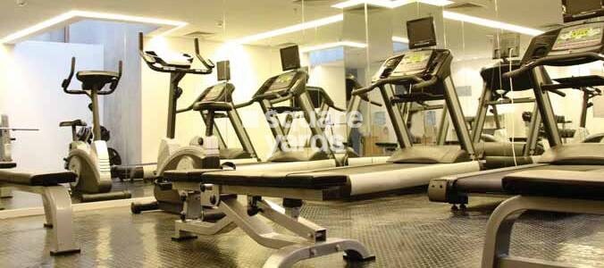 Central Park II-The Room Gymnasium Image