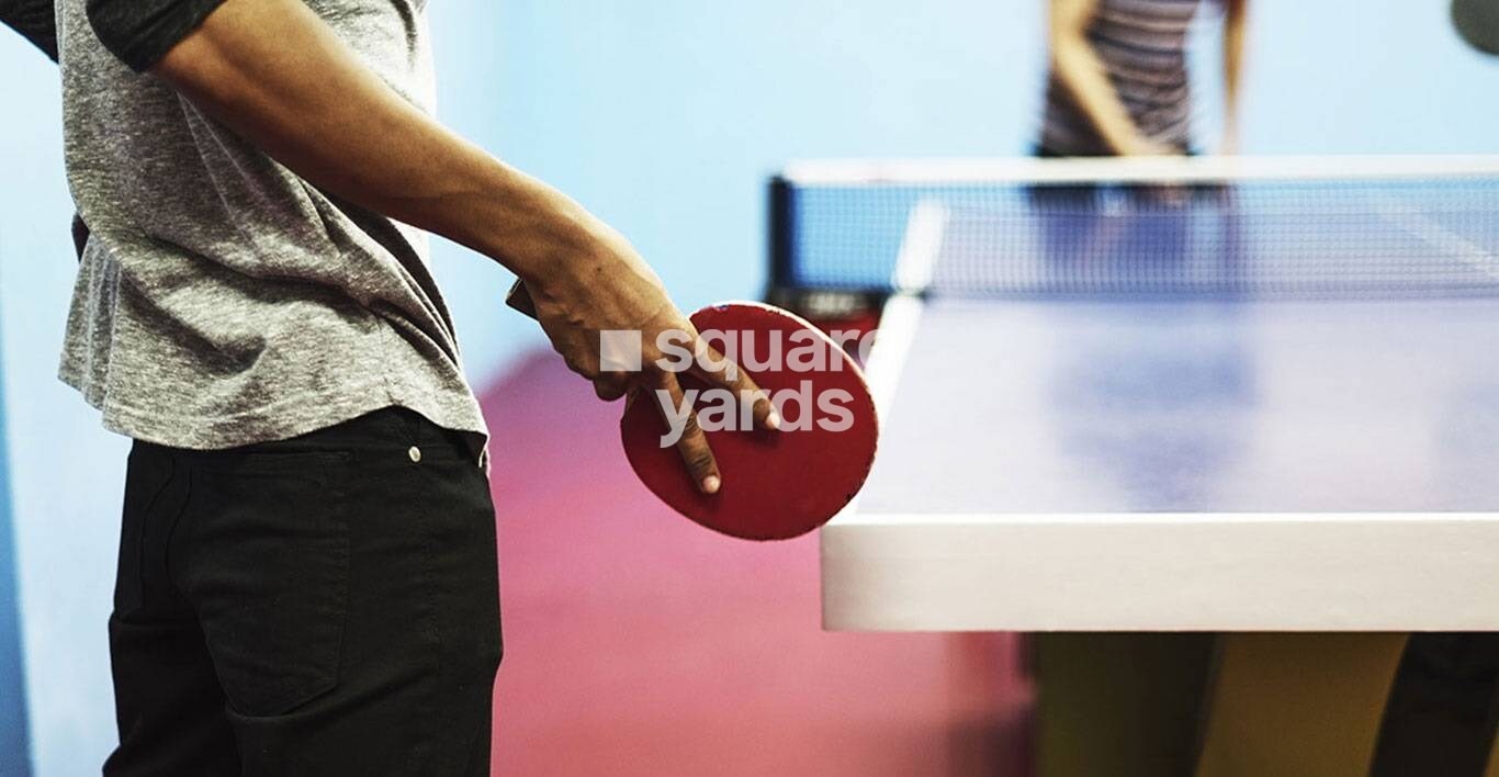 Central Park Resorts Sports facilities Image 2