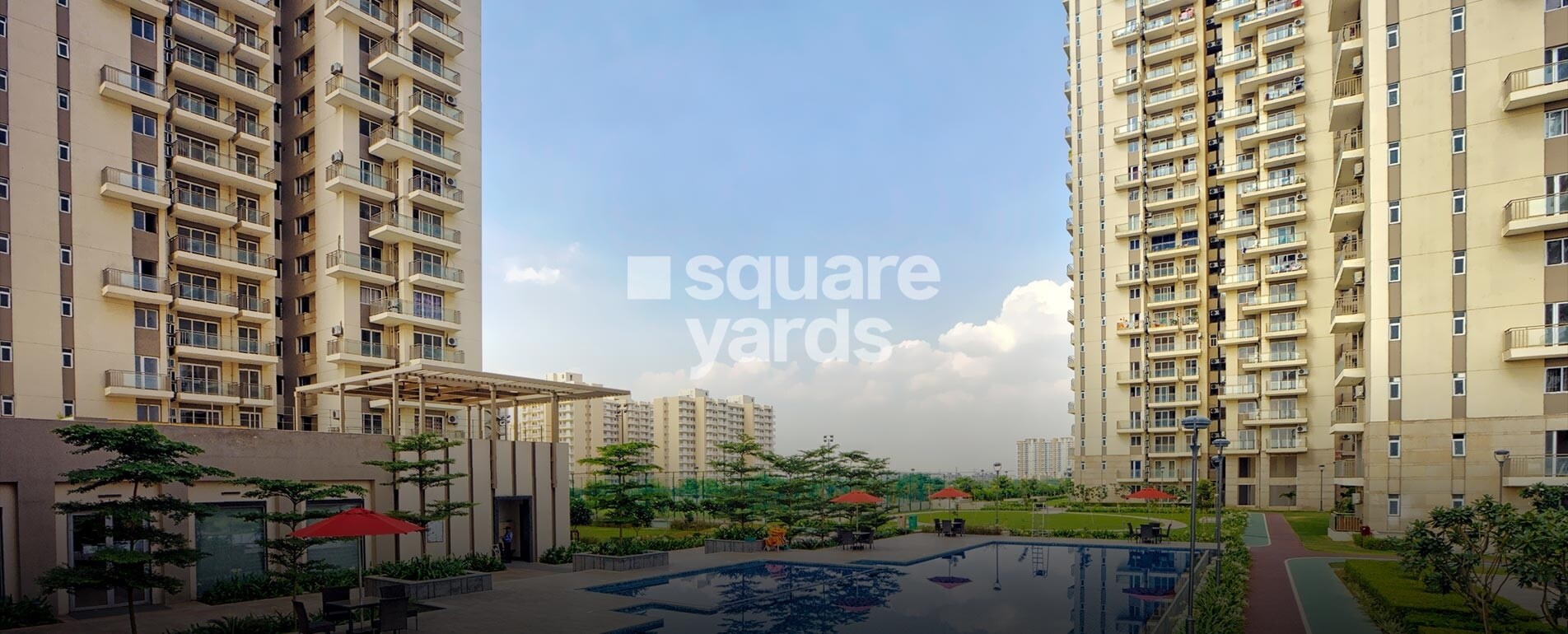 Conscient Heritage Max