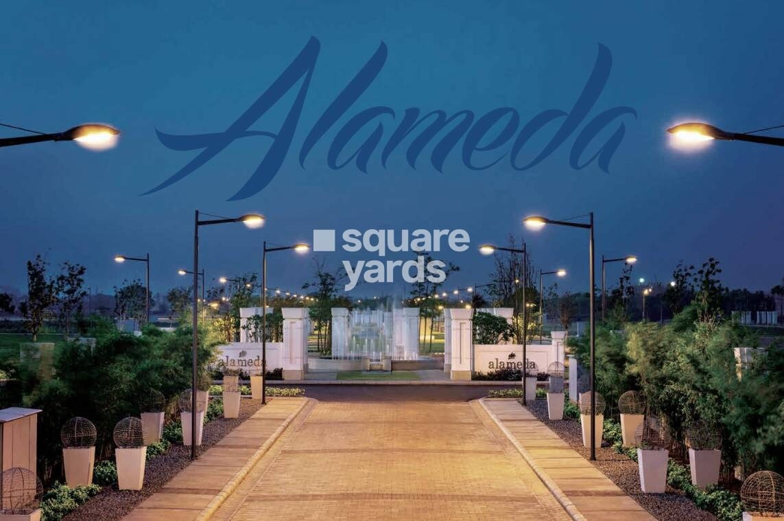 DLF Alameda Independent Floors