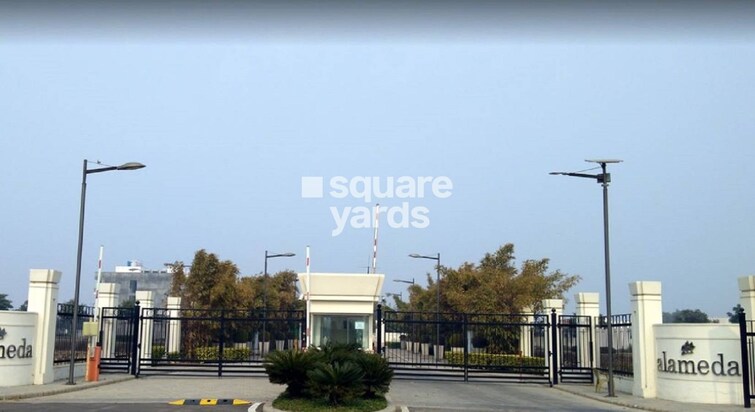 DLF Alameda Amenities-Features 5