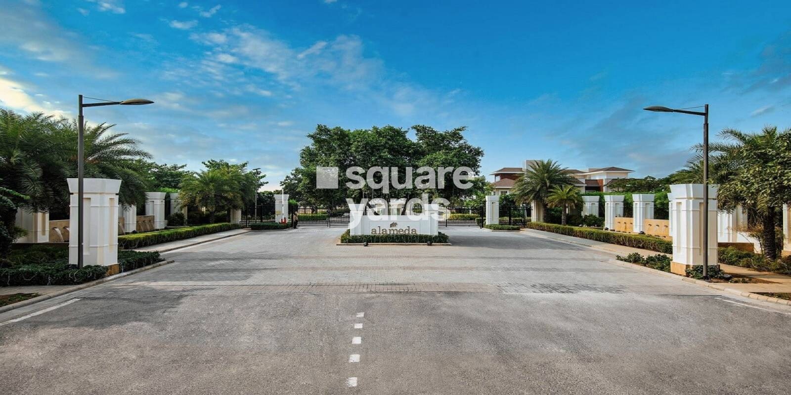 DLF Alameda Featured Image