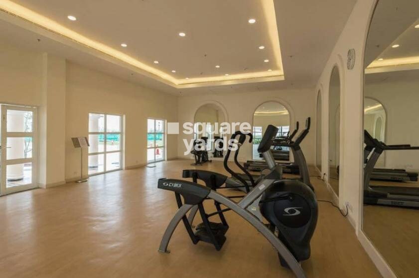 DLF New Town Heights I Amenities-Features 3