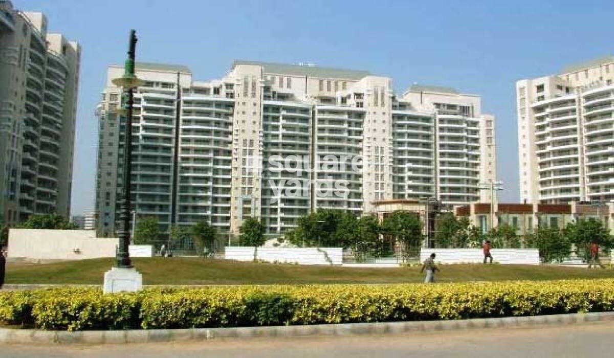 DLF The Aralias Tower View 5