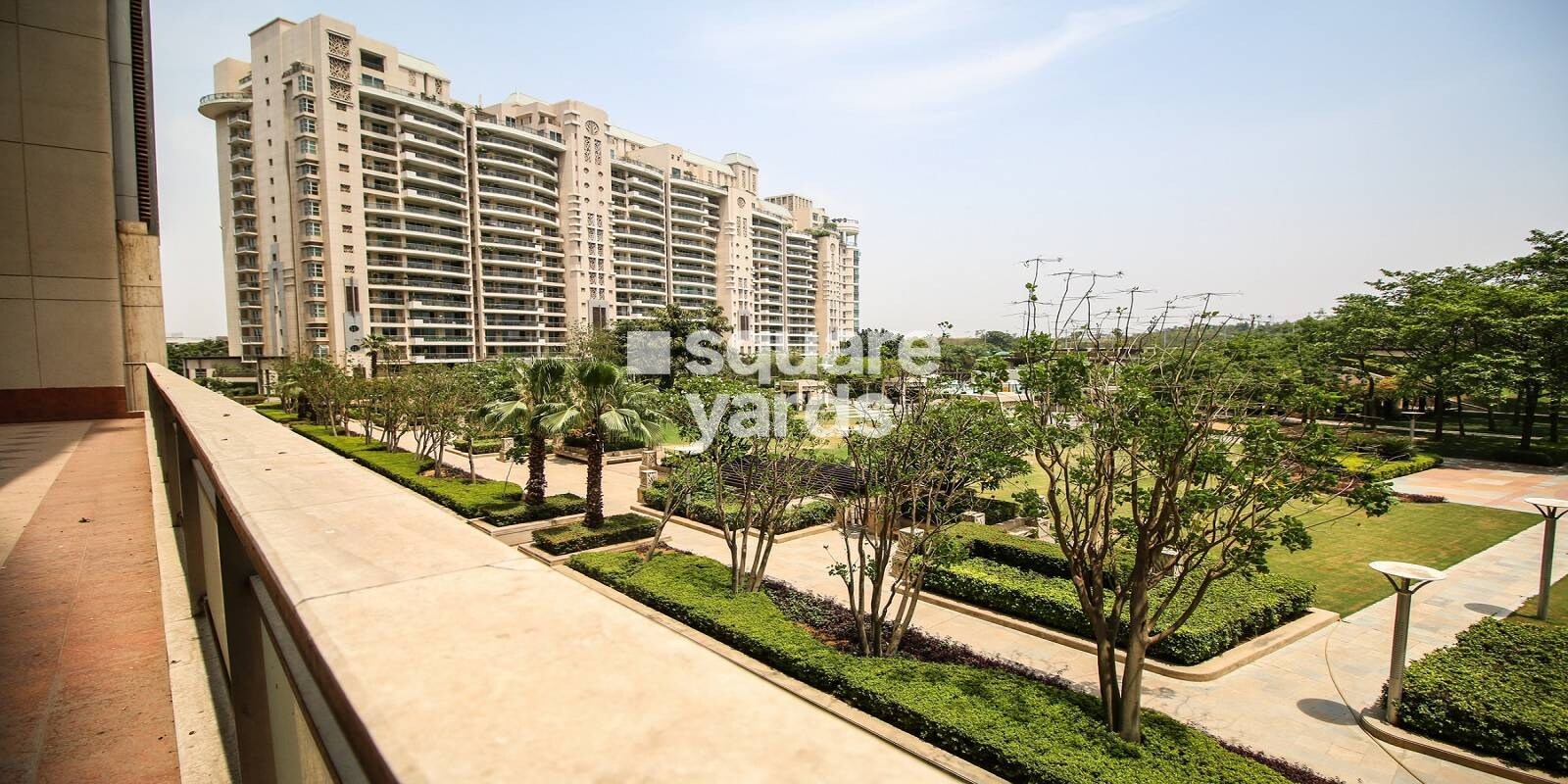 DLF The Aralias Tower View 6