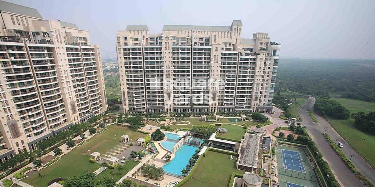 DLF The Aralias Tower View 7