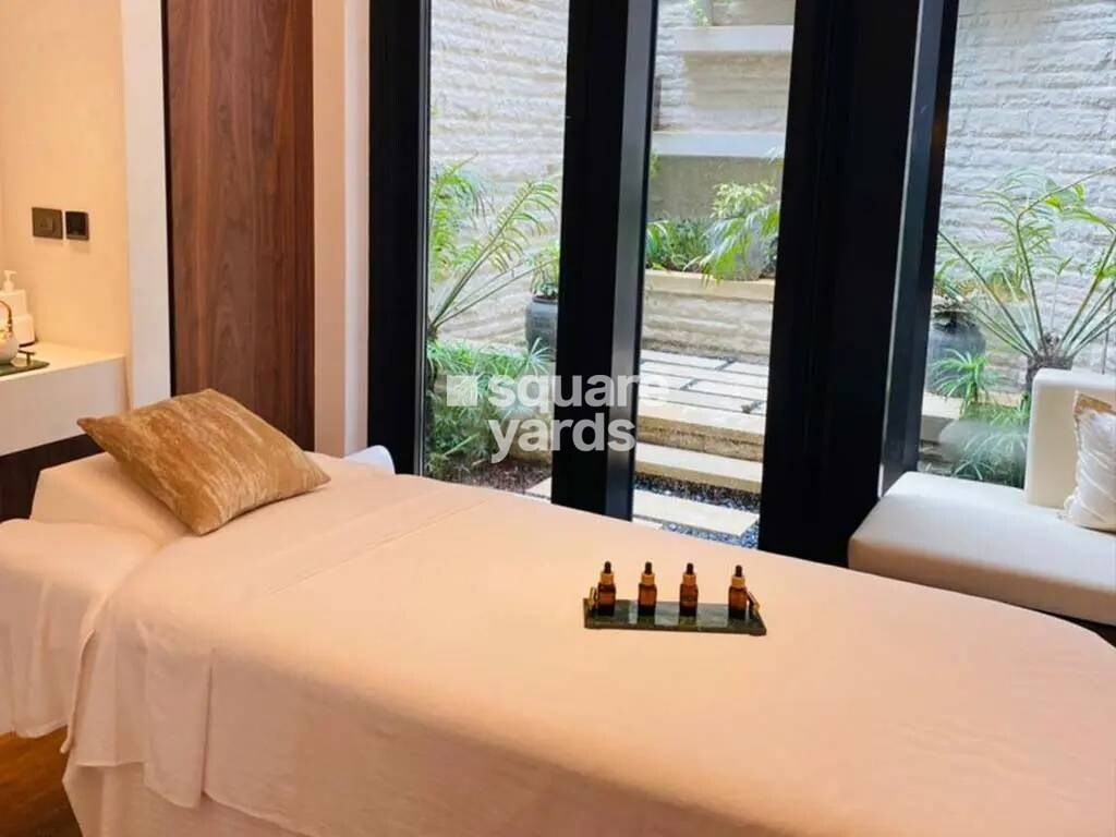 DLF The Camellias Amenities-Features 5