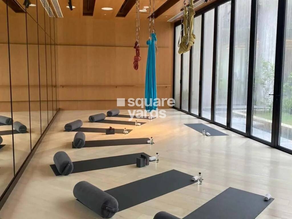 DLF The Camellias Amenities-Features 6