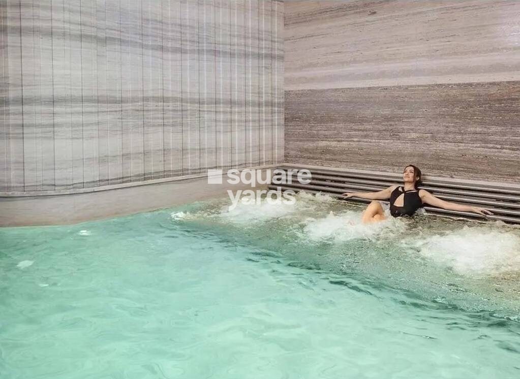 DLF The Camellias Amenities-Features 9