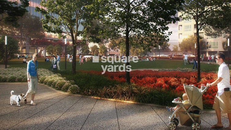 DLF The Grove Amenities-Features 3