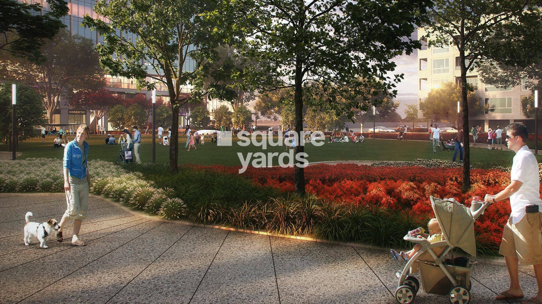 DLF The Grove Amenities-Features 3