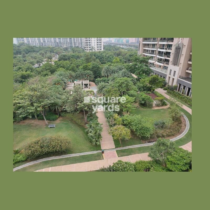 DLF The Magnolias Amenities-Features 1