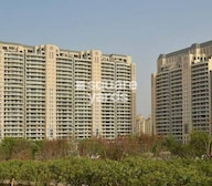 DLF The Magnolias Tower View