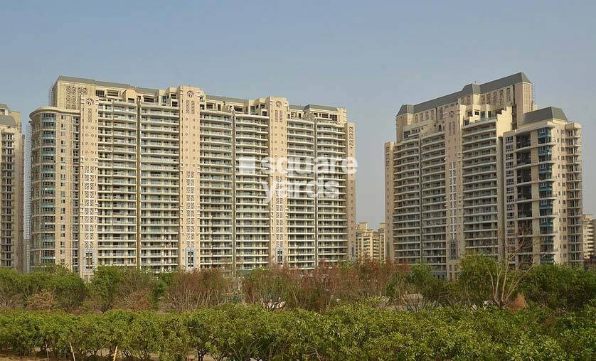 DLF The Magnolias Tower View 1