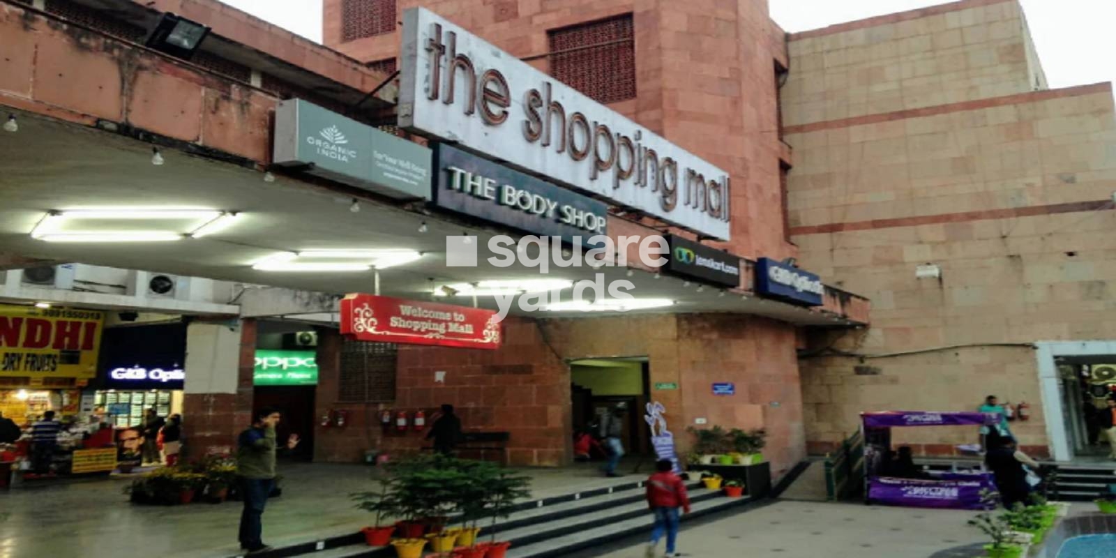 DLF The Shopping Mall Cover Image