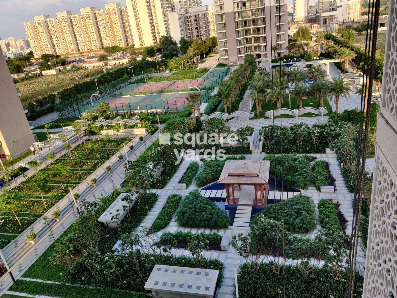 dlf the ultima amenities features12