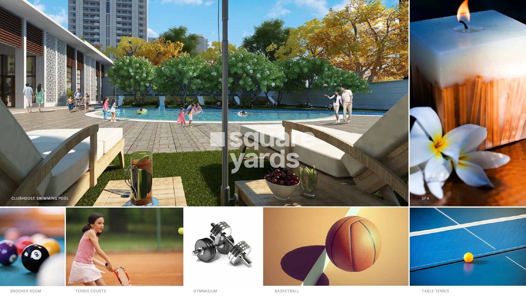 DLF The Ultima Amenities-Features 15