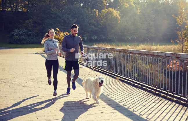 Emaar Emerald Classic Amenities-Features 2