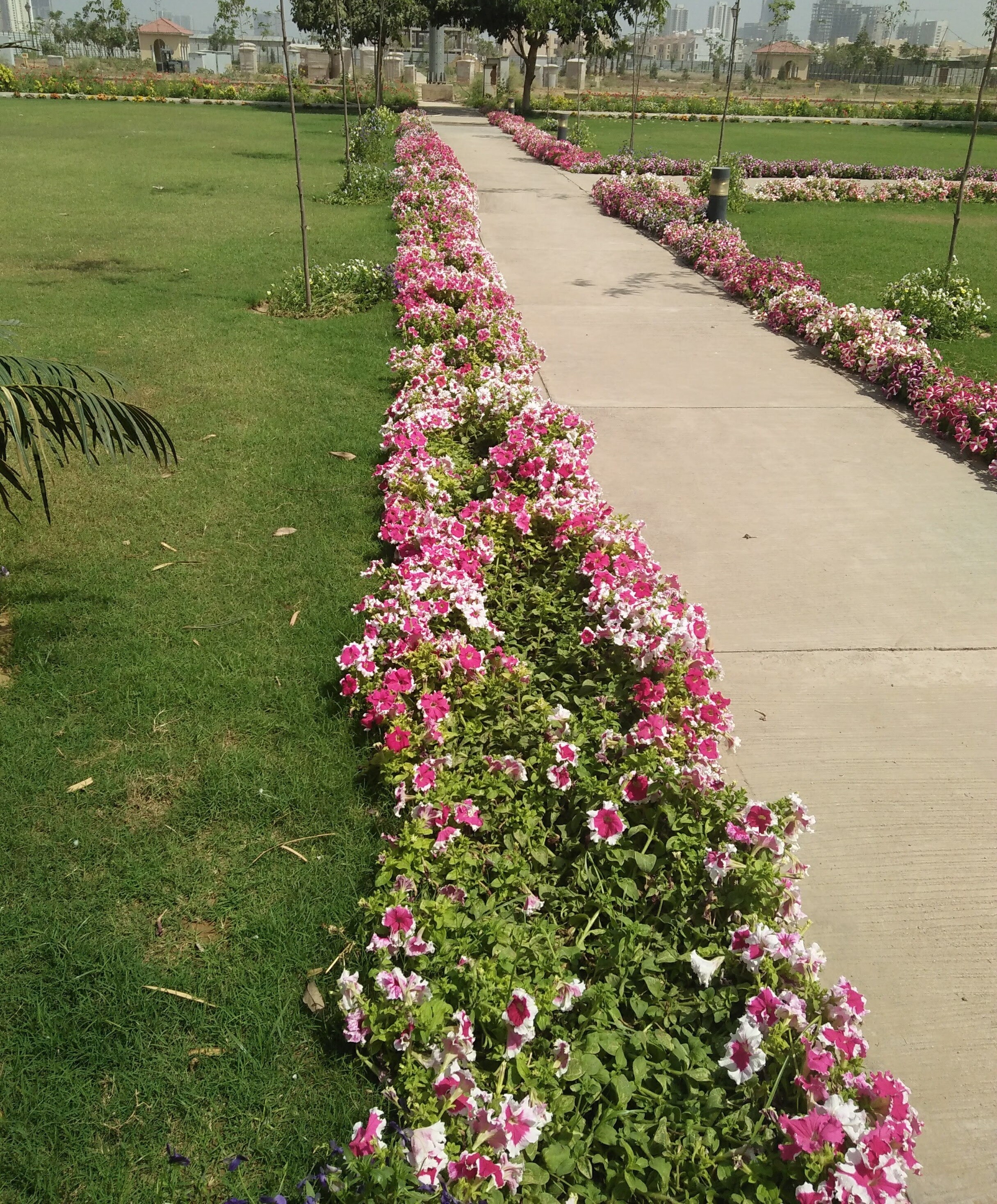 Emaar Emerald Hills Phase 2 Amenities-Features 1