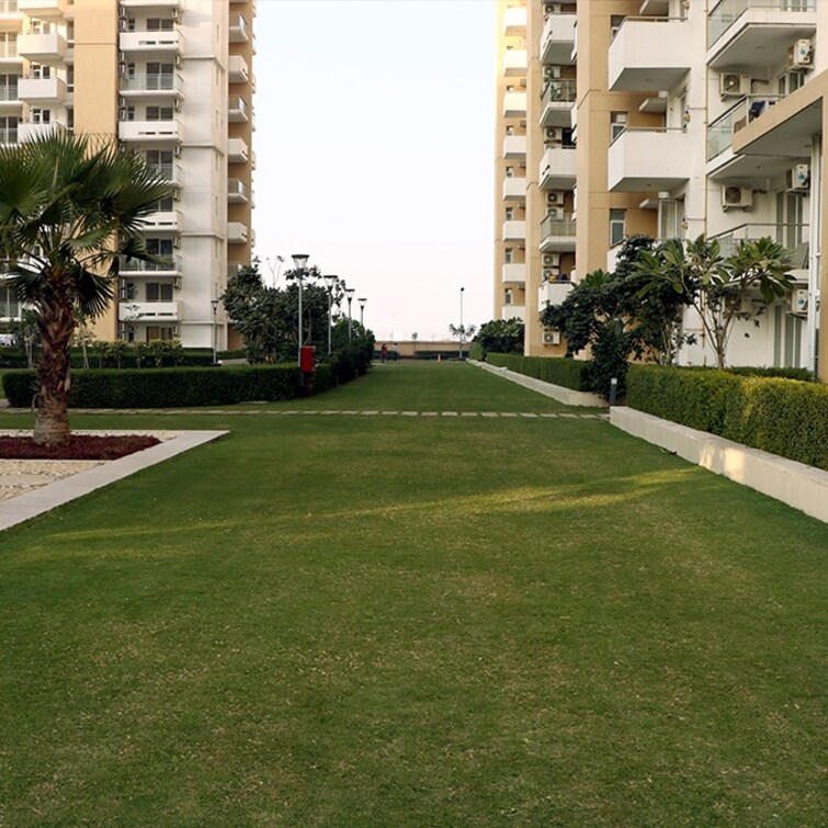 Emaar Palm Premier Apartment Exteriors 1