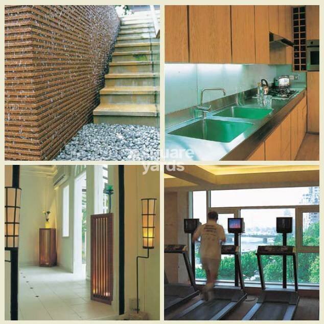 Emaar The Vilas Amenities-Features