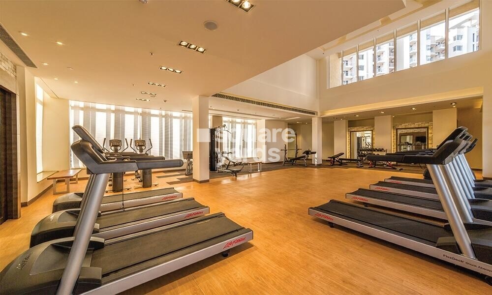 Experion The Heart Song Gymnasium Image