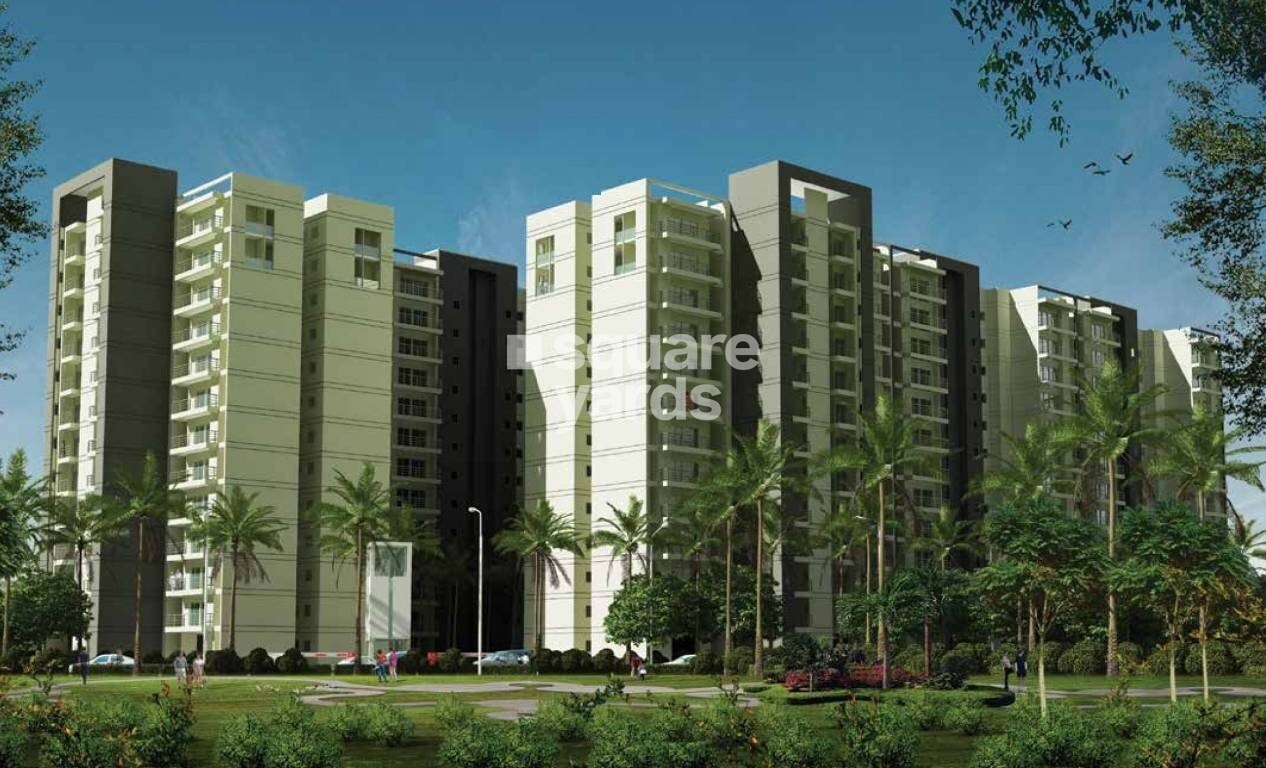 GLS Avenue 51 Tower View 6