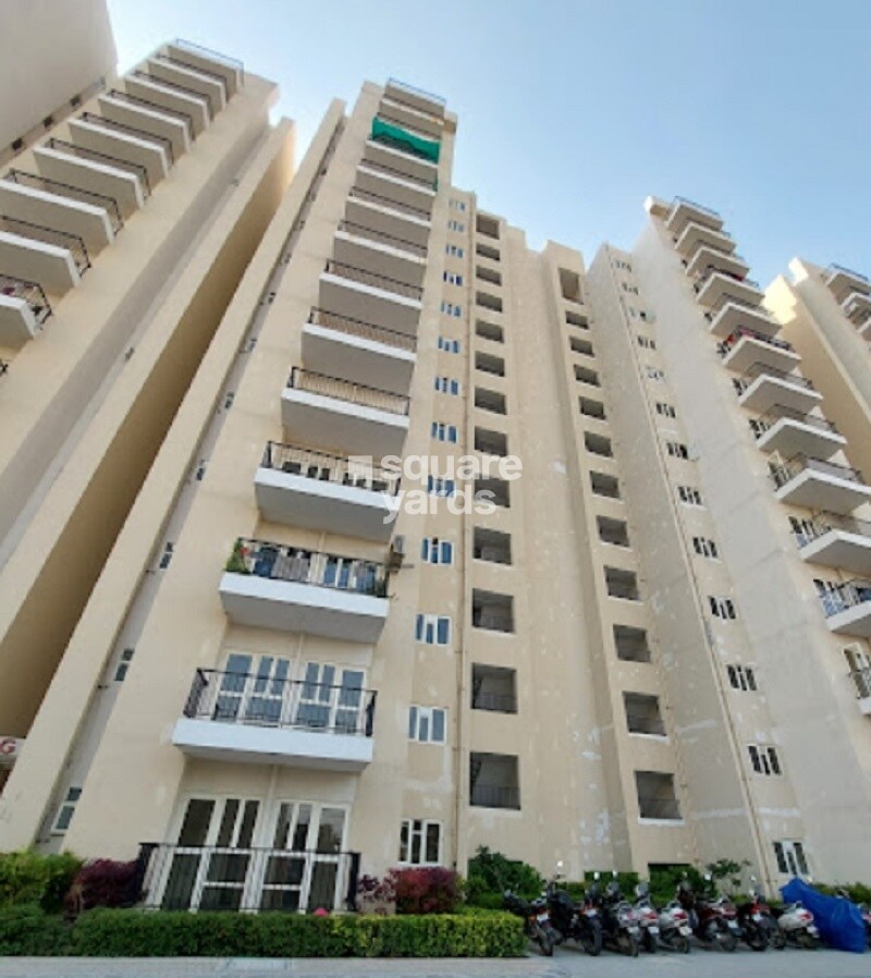 GLS Avenue 51 Tower View 8