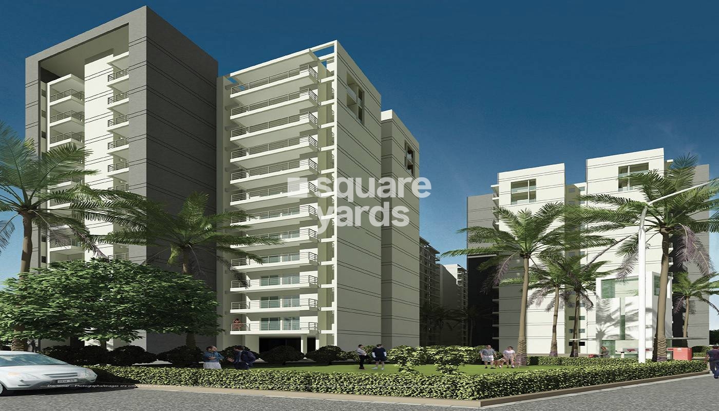 GLS Avenue 51