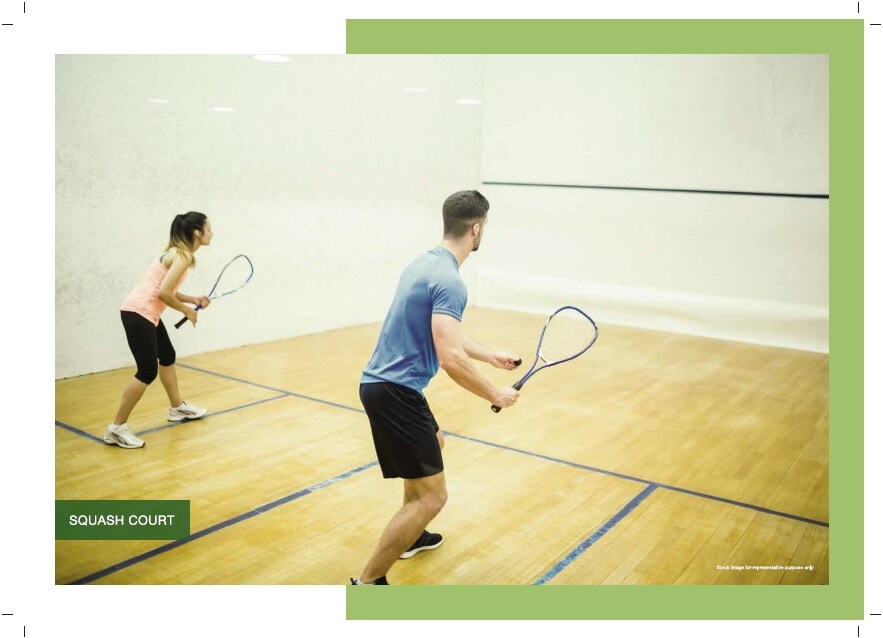 Godrej Air Sector 85 Sports facilities Image 1