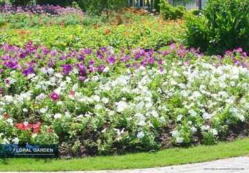 Godrej Habitat