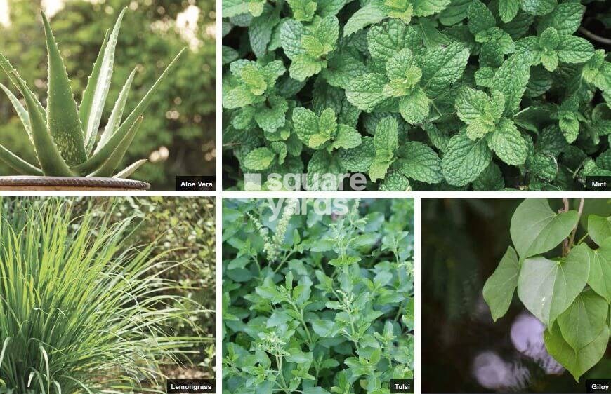 Godrej Habitat Greens Image 4