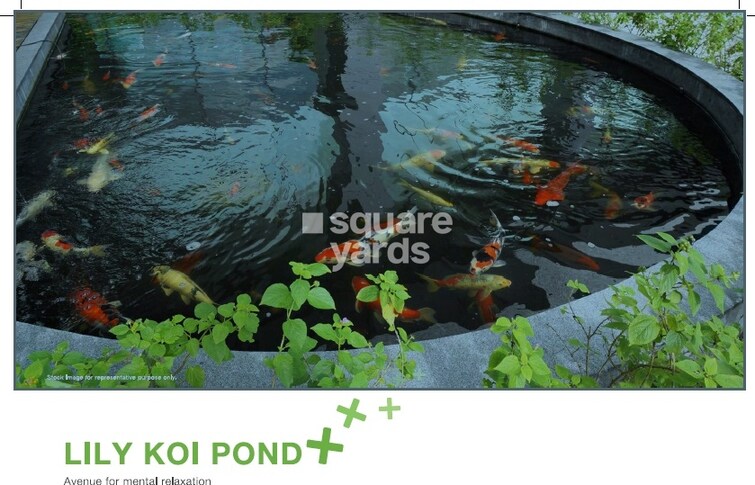 Godrej Nature Plus Amenities-Features 12