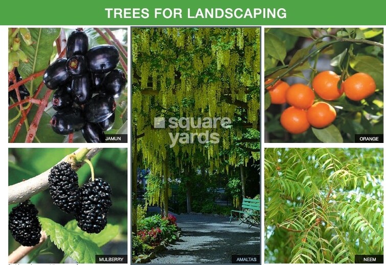 Godrej Nature Plus Greens Image 2